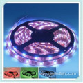 High quality dmx programmable led pixel strips